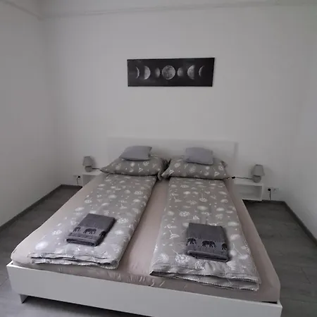 White Harmony 德布勒森